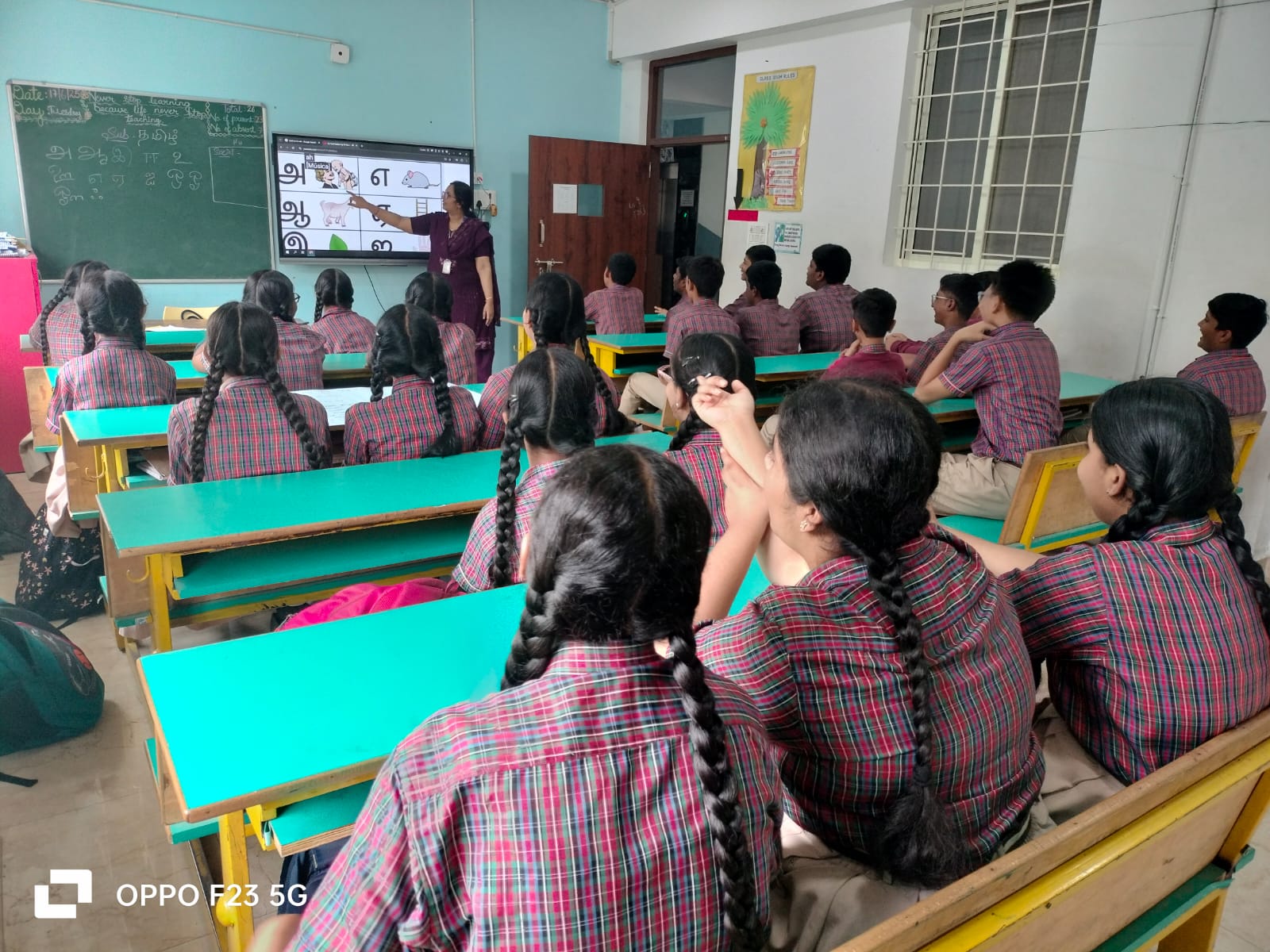 WhatsApp Image 2025-07-11 at 11.29.34 AM (1)