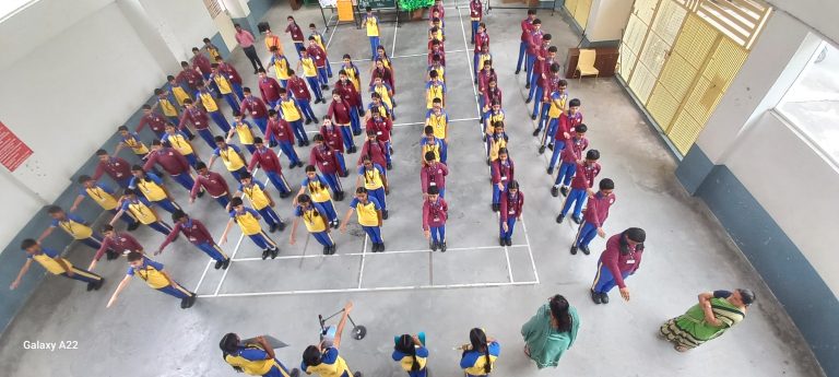 Dolphin CBSE activity